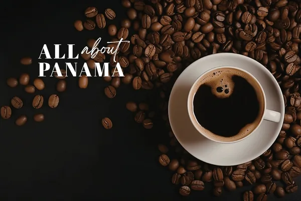 Panamanian Coffee: A World-Class Experience You Can Enjoy at Luxury Camping Panama Café Panameño: Una Experiencia de Clase Mundial que También Puedes Vivir en Luxury Camping Panamá